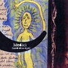 MEDICI: Medici