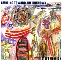 Steve Mednick : Ambling Toward The Unknown