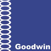 GOODWIN: Goodwin