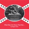 MEGAN HICKS: What was Civil about that War...