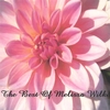 MELISSA WILKE: The Best Of Melissa Wilke