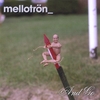 Mellotr�n: And Go