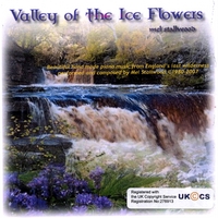 MEL STALLWOOD: Valley of the Ice Flowers