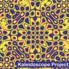 MIKE AND ERIN MCNAMARA: The Kaleidoscope Project