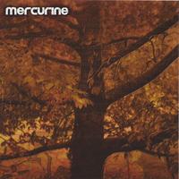 MERCURINE: Waiting For Another Fall