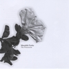MEREDITH FIERKE: The Procession