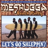 MESHUGGA BEACH PARTY: Let's Go Shleppin'!