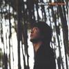 METALOB: Plastic Forest