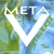 METAVERSE: Meta V