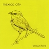 MEXICO CITY: Brown Bird