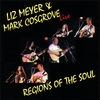 LIZ MEYER & MARK COSGROVE: Regions of the Soul