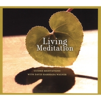 Music for Deep Meditation : Living Meditation: Guided Meditations with David Harshada Wagner