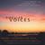 MICHAEL ZARETSKY, VIOLA; XAK BJERKEN, PIANO; PAMELA DELLAL, MEZZ: Singular Voices Brahms, Schumann and the Viola