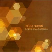 Mico Nonet : Maloja Pass / Hammock