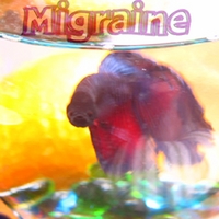 Migraine : 201 - Wet