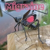 MIGRAINE: 52 - Grasshopper