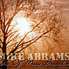 Mike Abrams: One of many branches