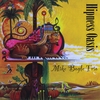Mike Bogle Trio: Hipness Oasis