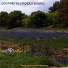 MIKE LUSK: Country Bluegrass Gospel