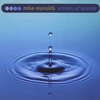 MIKE REYNOLDS: Scenes of Spaces