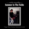 MIKE SNOWDEN: Summer in the Fields - Cigar Box Guitar Instrumentals