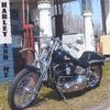 MIKE WHITLEY: Harley And Me