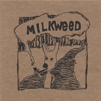 milkweed : milkweed