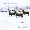 CHRIS MILLER: Rabbit Flat Revisited