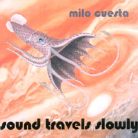 Milo Cuesta : Sound Travels Slowly