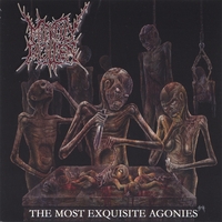 Mindly Rotten : The Most Exquisite Agonies