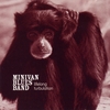 MINIVAN BLUES BAND: Lifelong Turbulation