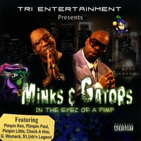 Minks & Gators : In The Eyes Of A Pimp