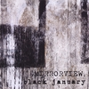 MIRRORVIEW: Black January