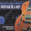 PETER MISERENDINO: Guitar & Amp