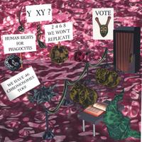 Mishambra : One Vote Zygote