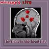 MISSHAPED LIFE: gone in the head