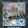 MISSION IN THE RAIN: On Our Own