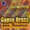 VARIOUS ARTISTS: Gypsy Brass From Macedonia (2cd)