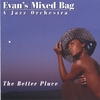 EVAN'S MIXED BAG: The Better Place