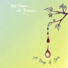 MATT JOHNSON AND BONEYARD: A Drop of Sun