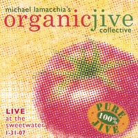 Michael Lamacchia's Organic Jive Collective : Michael LaMacchia's "Organic Jive Collective" Live At The Sweetwater 1-31-07