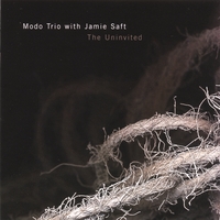 Modo Trio with Jamie Saft : The Uninvited