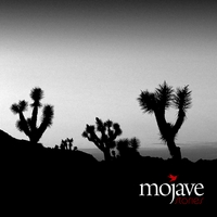 Mojave : Stories