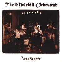 The Molehill Orkestrah : TranScenic