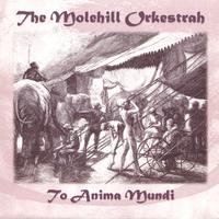 THE MOLEHILL ORKESTRAH: Tu Anima Mundi