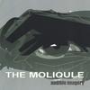 THE MOLIQULE: Audible Imagery