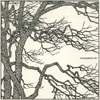 VARIOUS ARTISTS: Monosyllabic 001