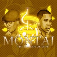 Montaj : The Rebirth of Love