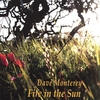 DAVE MONTEREY: Fire in the Sun