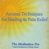 MORDY LEVINE: Ancient Techniques for Healing & Pain Relief